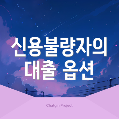 신용불량자의 대출 옵션
