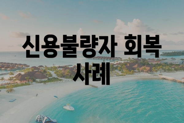 신용불량자 회복 사례