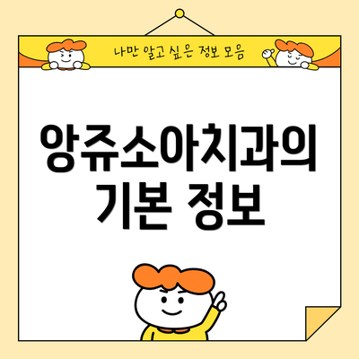 앙쥬소아치과의 기본 정보