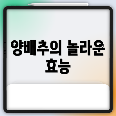 양배추의 놀라운 효능