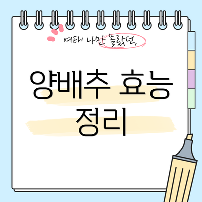 양배추 효능 정리