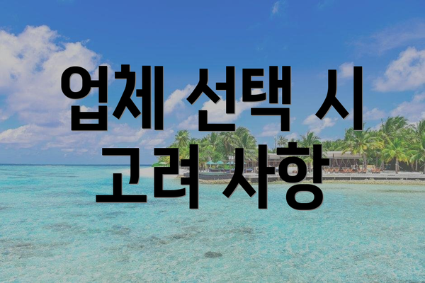 업체 선택 시 고려 사항