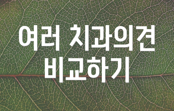 여러 치과의견 비교하기