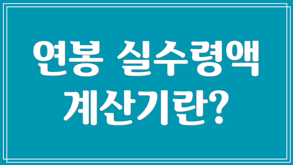 연봉 실수령액 계산기란?