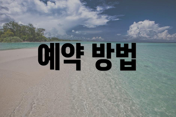 예약 방법