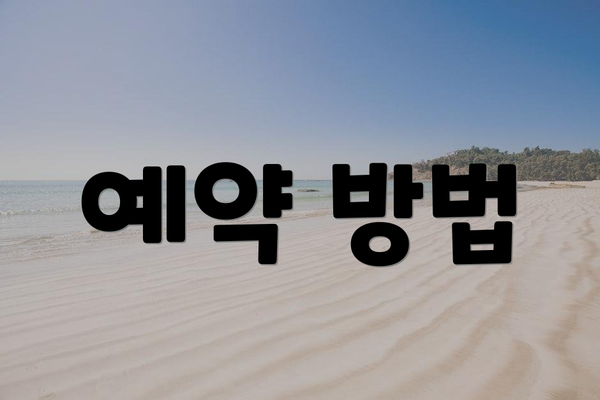 예약 방법