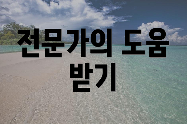 전문가의 도움 받기