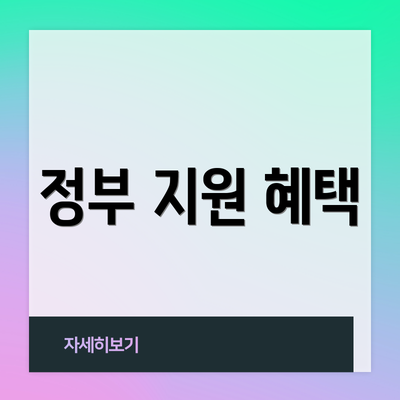 정부 지원 혜택