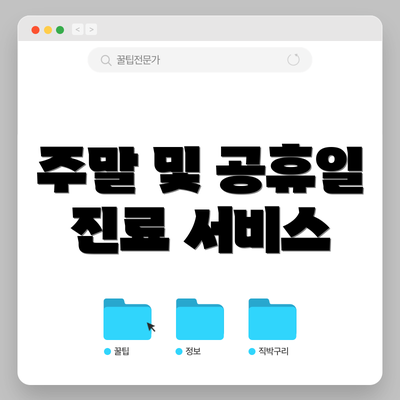 주말 및 공휴일 진료 서비스
