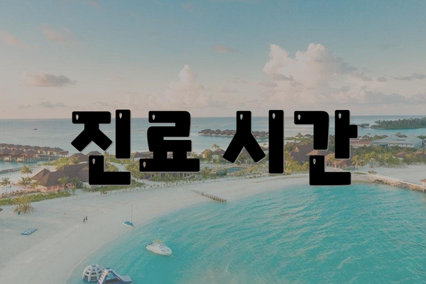 진료 시간