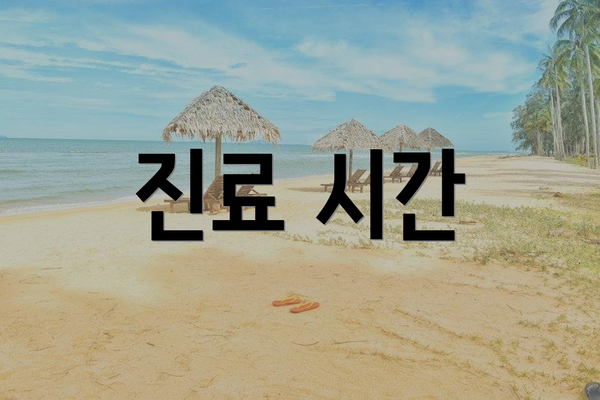 진료 시간