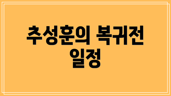 추성훈의 복귀전 일정