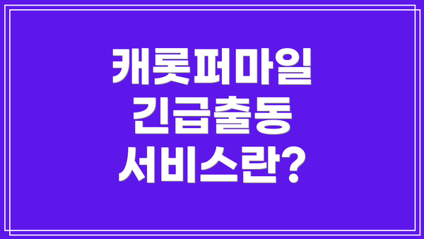 캐롯퍼마일 긴급출동 서비스란?