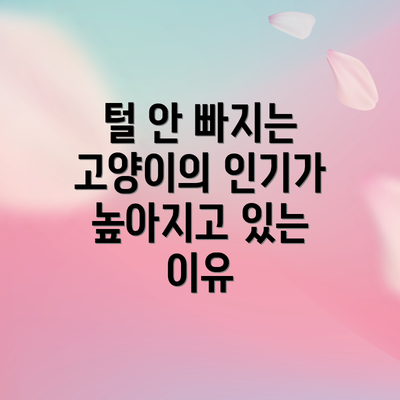 털 안 빠지는 고양이의 인기가 높아지고 있는 이유
