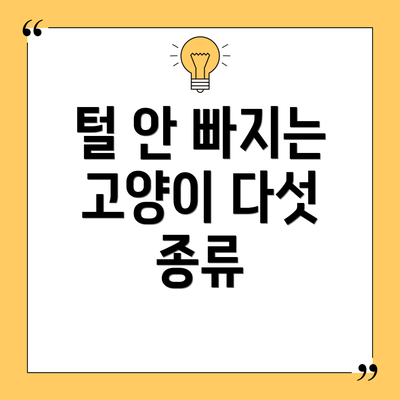 털 안 빠지는 고양이 다섯 종류