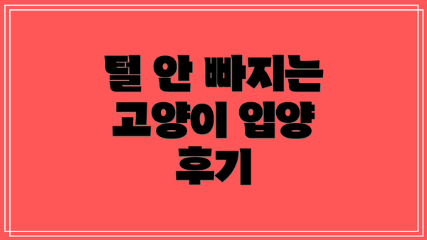 털 안 빠지는 고양이 입양 후기