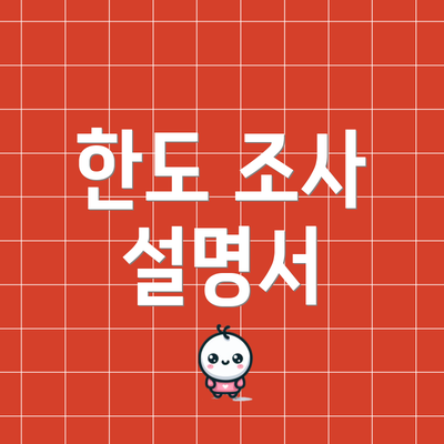 한도 조사 설명서