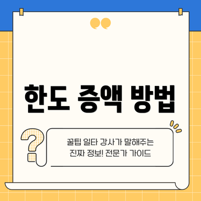 한도 증액 방법