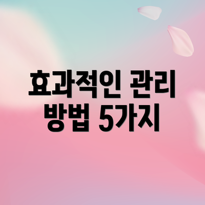 효과적인 관리 방법 5가지