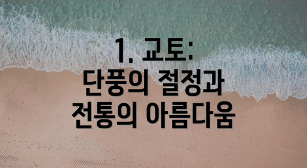1. 교토: 단풍의 절정과 전통의 아름다움