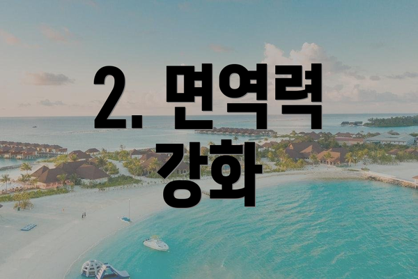 2. 면역력 강화