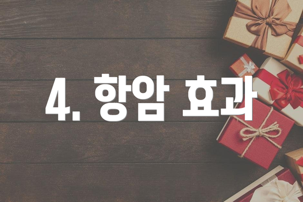 4. 항암 효과