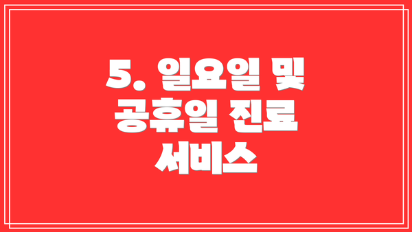 5. 일요일 및 공휴일 진료 서비스