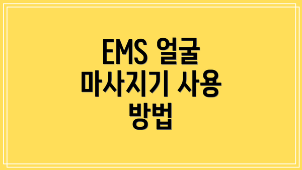 EMS 얼굴 마사지기 사용 방법