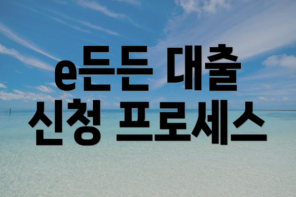 e든든 대출 신청 프로세스