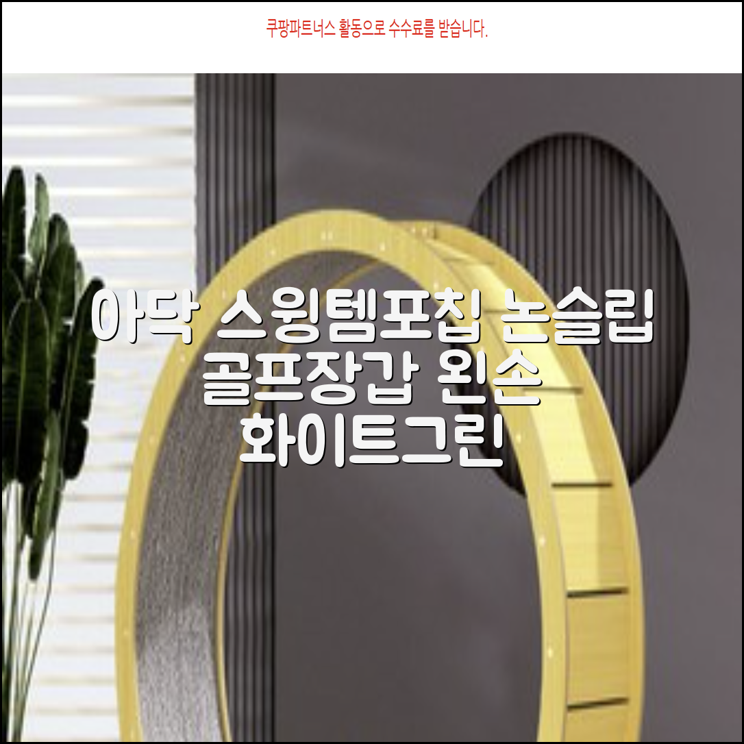 아닥 남성용 스윙템포칩 논슬립 골프장갑 왼손용, 화이트 + 그린, 1개 추천 리뷰