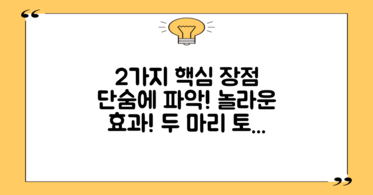 2가지 핵심 장점