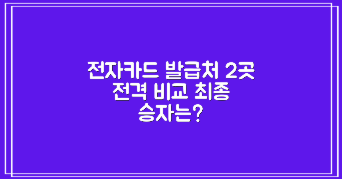 전자카드, 어디서 발급받아야 할까? 2가지 발급처 완벽 비교 가이드