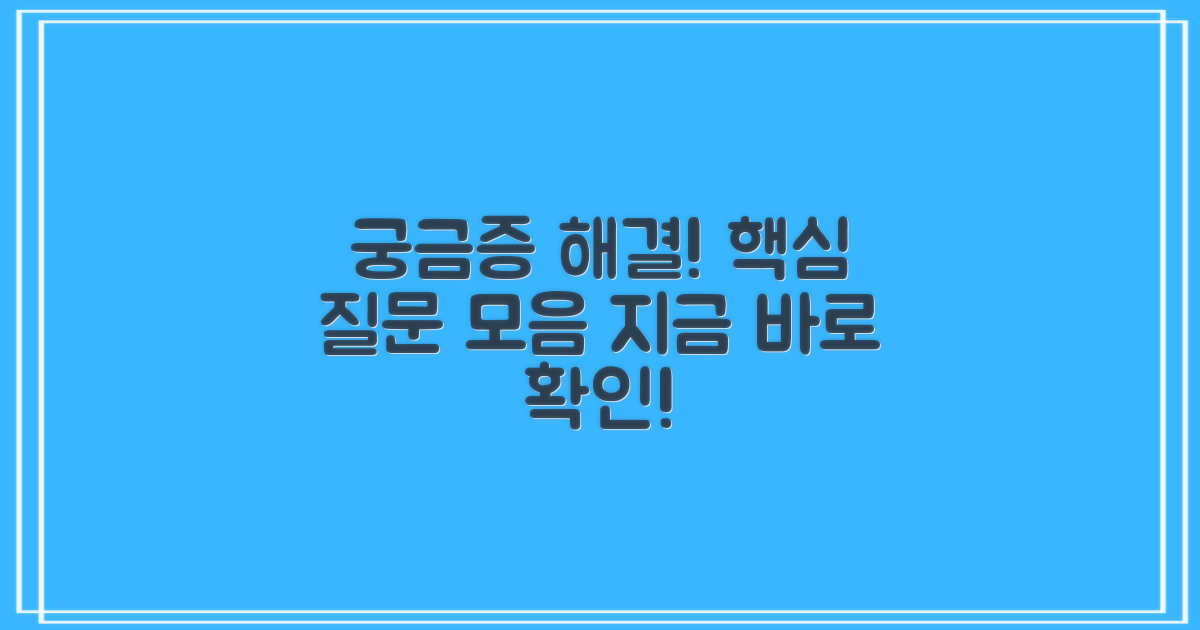 자주 묻는 질문