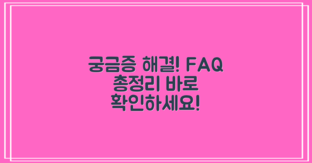 자주 묻는 질문